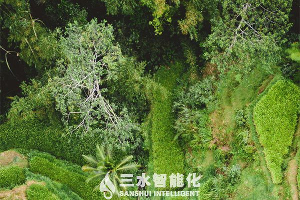 北京冬奧十大綠色低碳最佳實踐和技術報告發布